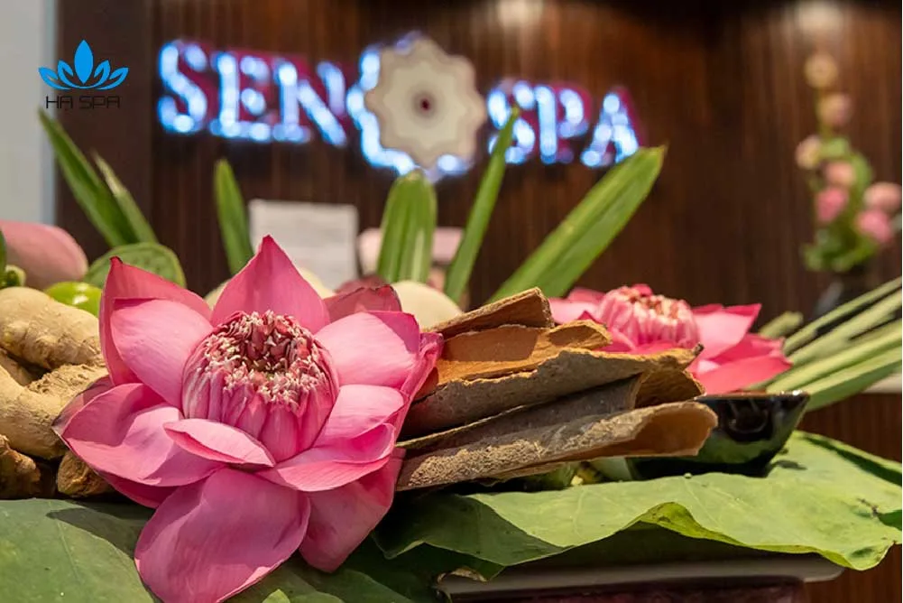 TOP 27+ địa chỉ Spa gần đây tại Sài Gòn nổi tiếng về làm đẹp được yêu thích nhất