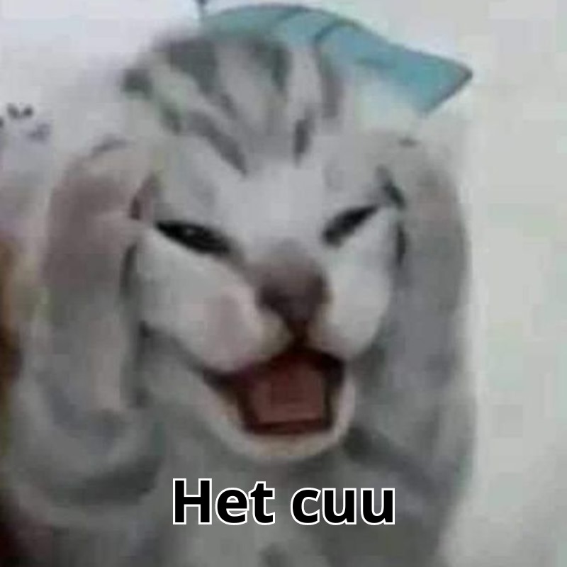 Tổng hợp meme hết cứu | Nguồn gốc meme hết cứu