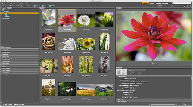 Adobe Bridge là gì? Một số tính năng cơ bản của Adobe Bridge