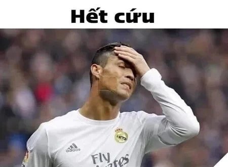 Tổng hợp meme hết cứu | Nguồn gốc meme hết cứu