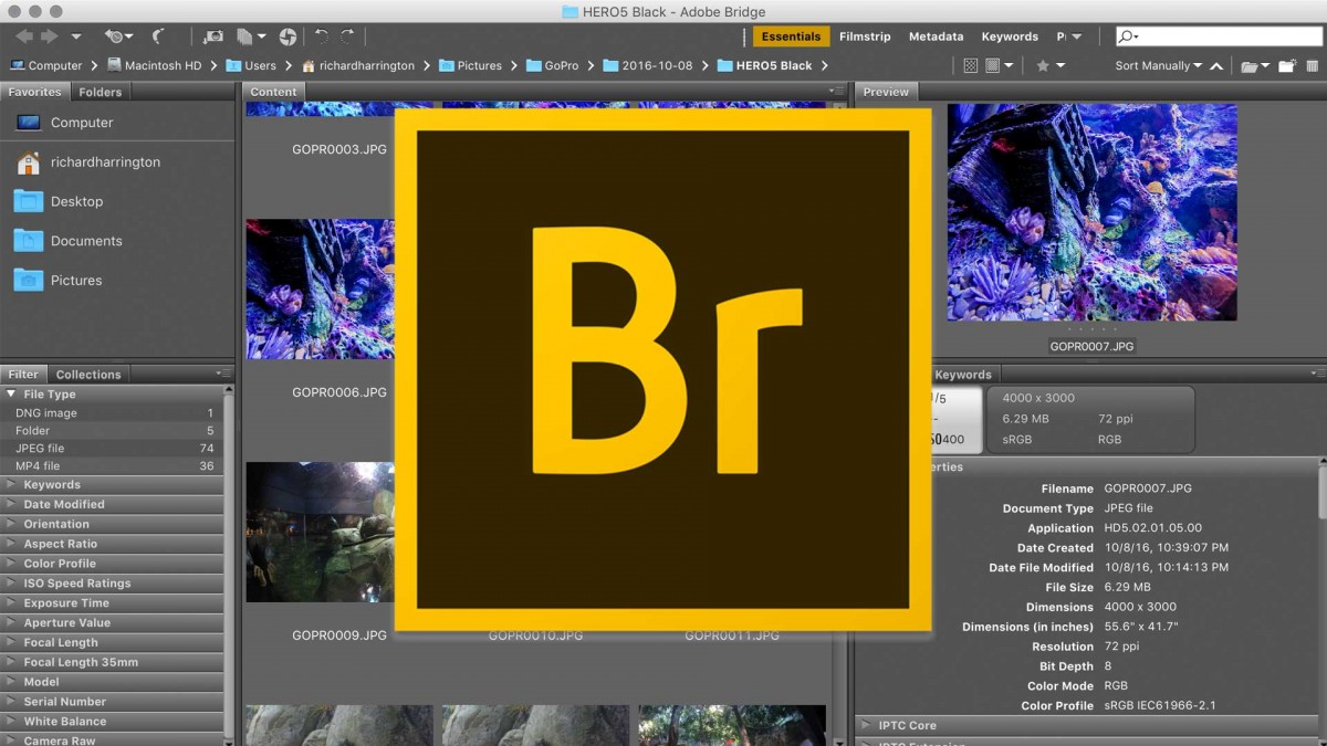 Adobe Bridge là gì? Một số tính năng cơ bản của Adobe Bridge