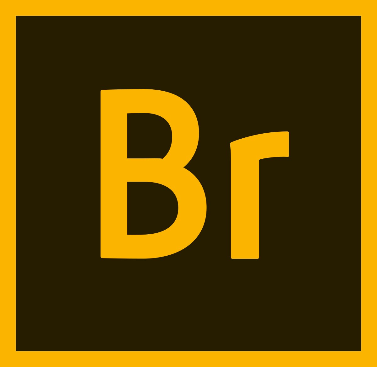 Adobe Bridge là gì? Một số tính năng cơ bản của Adobe Bridge