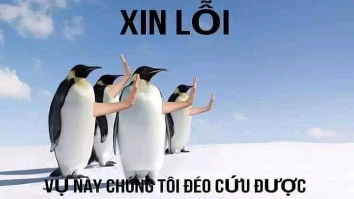 Tổng hợp meme hết cứu | Nguồn gốc meme hết cứu