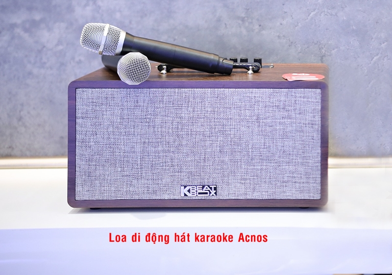 Nên mua loa kéo di động hát karaoke hãng nào TỐT NHẤT?