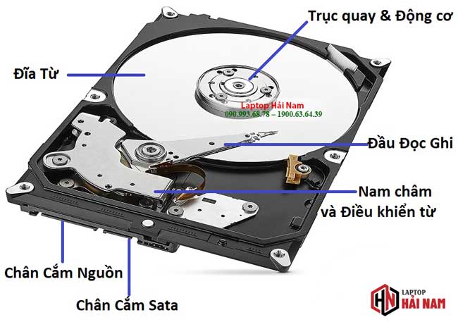 Ổ Cứng HDD 2TB Chính Hãng - Giá Rẻ [Tháng mười hai/ 2024]