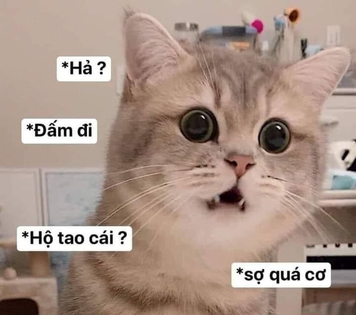 Bộ sưu tập Meme dỗi hài hước, dễ thương và đáng yêu