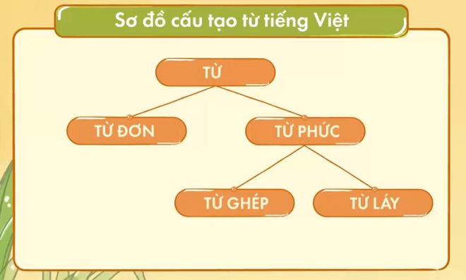 Cấu tạo từ tiếng Việt và những kiến thức về từ cần nắm rõ