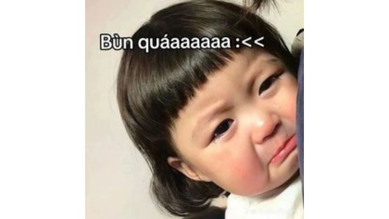 Tổng hợp 100 ảnh meme hài bựa, gây cười “bể bụng”