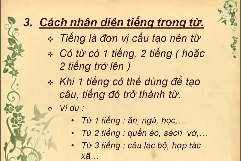 Cấu tạo từ tiếng Việt và những kiến thức về từ cần nắm rõ