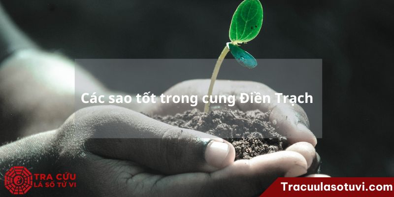 Cung Điền Trạch là gì? Luận giải ý nghĩa cung Điền khi các sao tọa thủ trên lá số tử vi