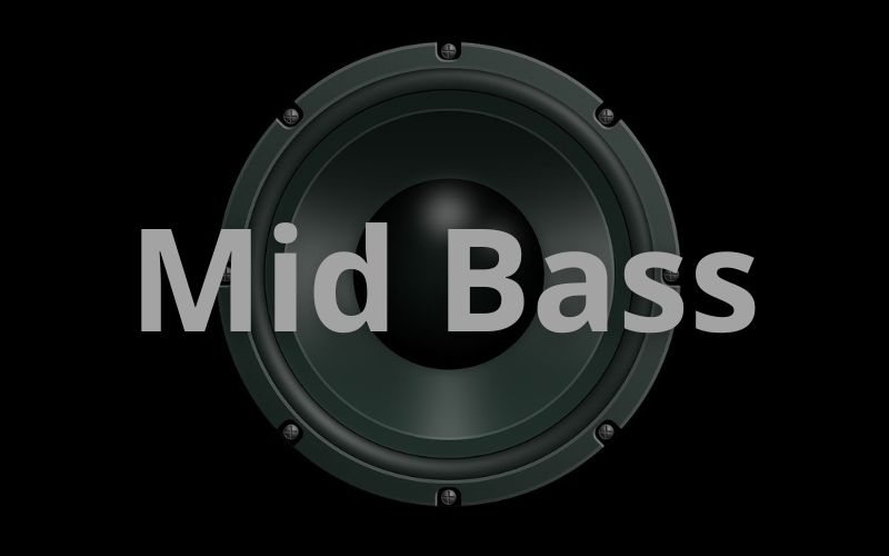 Loa mid bass là gì? Phân biệt loa mid bass với loa mid và loa bass