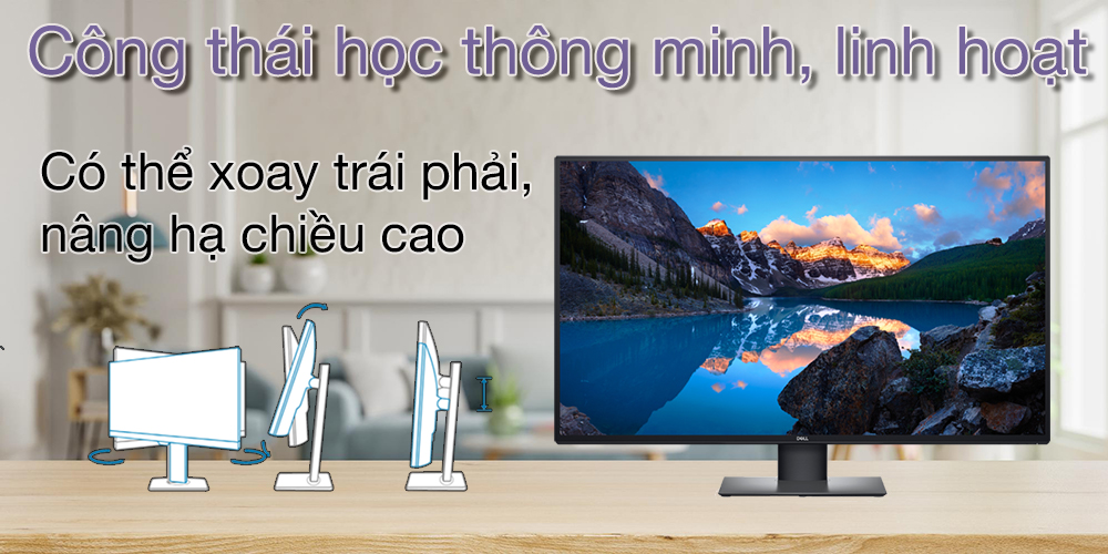 Màn hình UltraSharp Dell U4320Q (43inch/UHD/IPS/60Hz/5ms/USB TypeC)