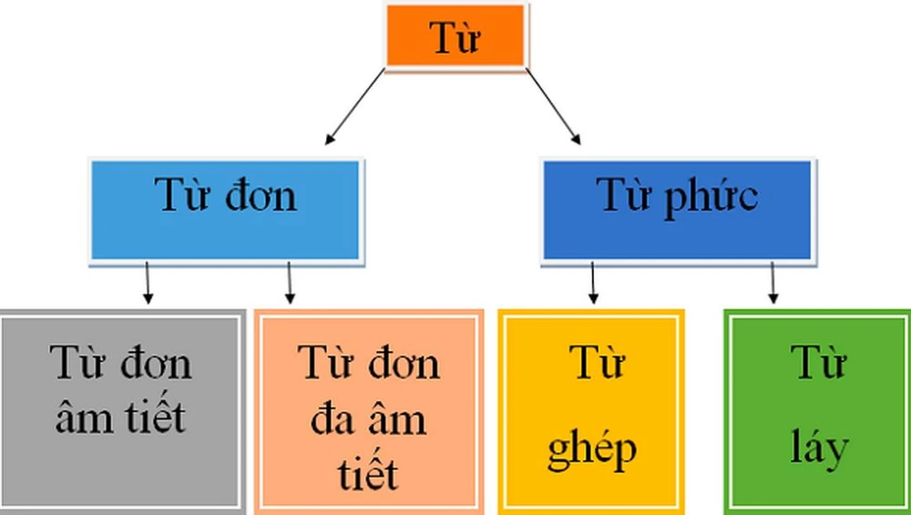 Từ ghép là gì? Cách phân biệt từ ghép từ láy nhanh