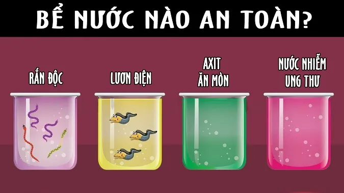 Những câu đố vui trí tuệ có đáp án “hại não”