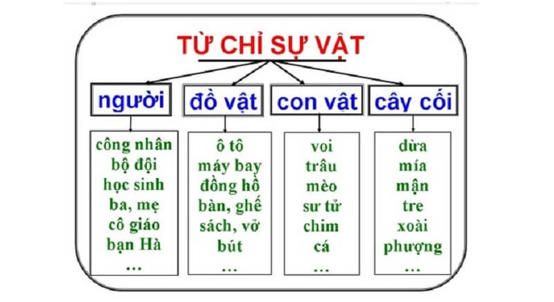 Từ chỉ sự vật là gì lớp 2, 3? Ví dụ từ chỉ sự vật?