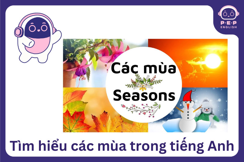 Các mùa trong năm: từ vựng, đặc điểm và cách nói về mùa