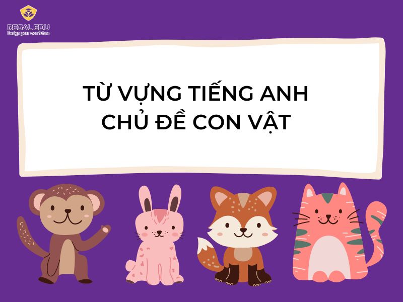 Tổng hợp 100+ Từ vựng tiếng Anh chủ đề con vật cho bé