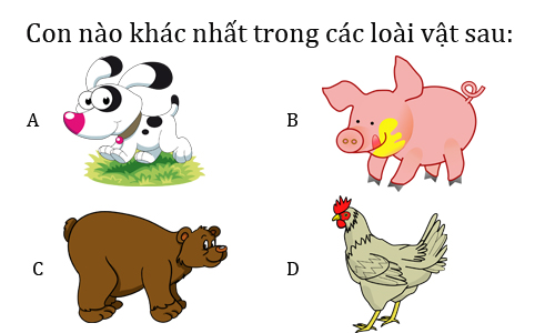 100+ Câu đố tư duy cho trẻ: Đồng hành cùng con phát triển tư duy