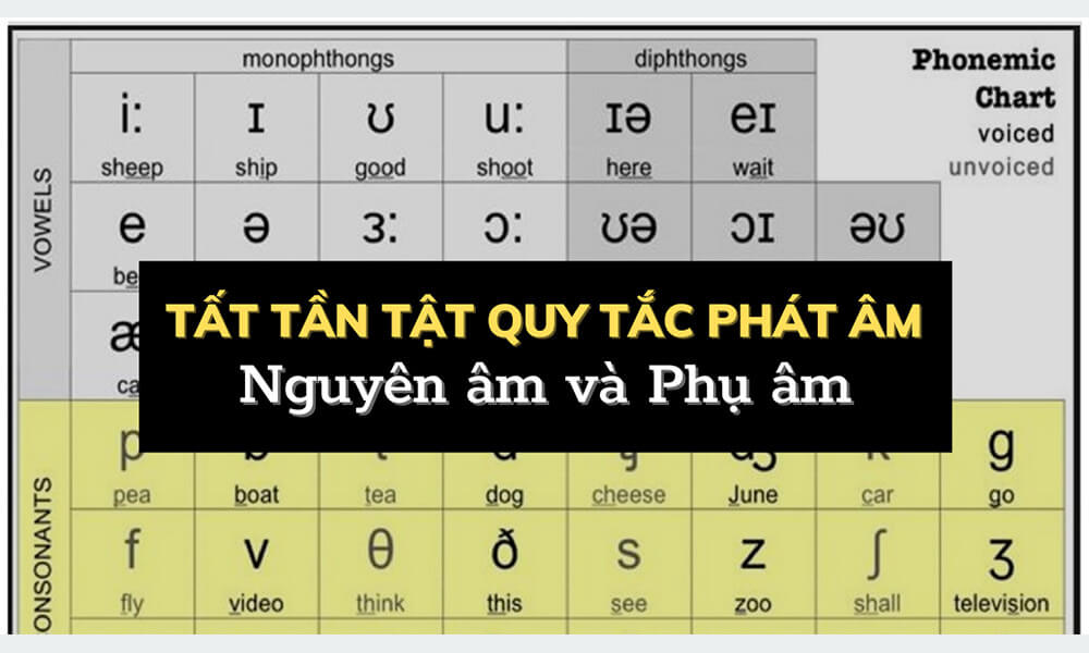 Cẩm nang học nguyên âm và phụ âm trong tiếng Anh 2023