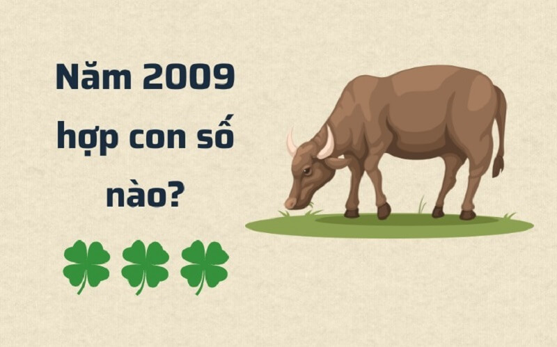 Sinh năm 2009 tuổi gì? Hợp tuổi nào? Màu sắc gì?