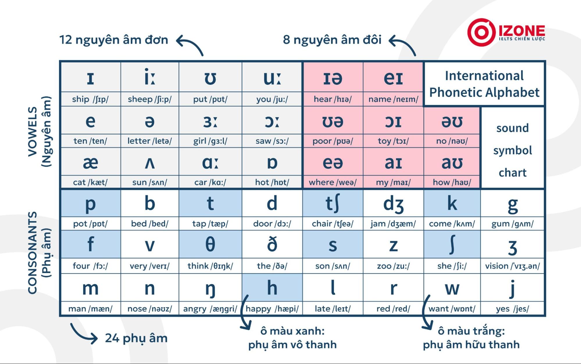 Ngữ âm trong Tiếng Anh (Phonetics) là gì? Bí quyết học ngữ âm tiếng Anh hiệu quả