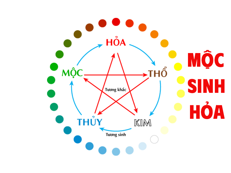 Mộc sinh Hỏa là gì? Tốt hay xấu? Cách ứng dụng trong phong thuỷ