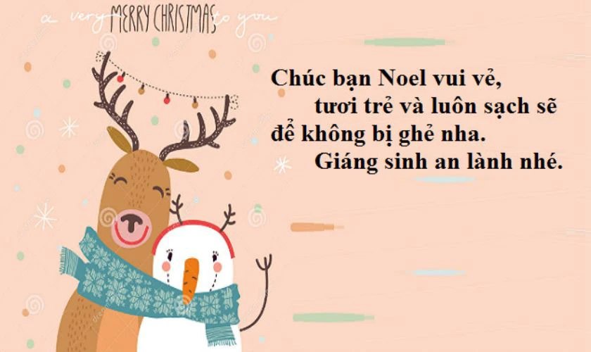 199+ STT Noel hài hước, STT thả thính Noel hay nhất