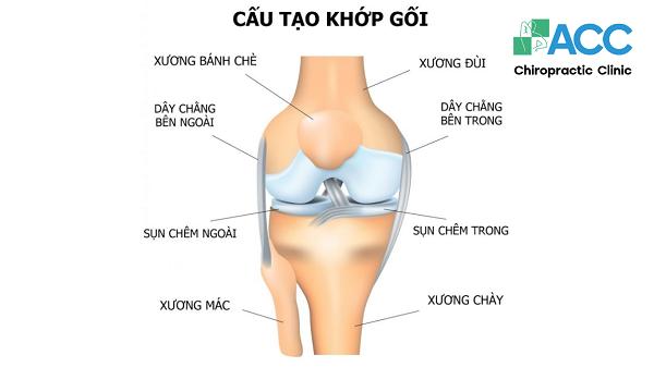 Đau đầu gối: Nguyên nhân, phương pháp điều trị và phòng ngừa